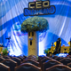 Image credit: CEO Dreamland